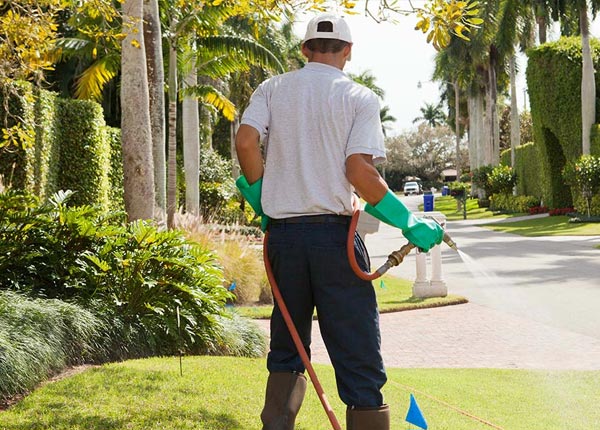 About Monmouth IL Pest Control